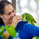 Centro de Triagem já recebeu mais de 450 animais silvestres de janeiro a abril de 2025