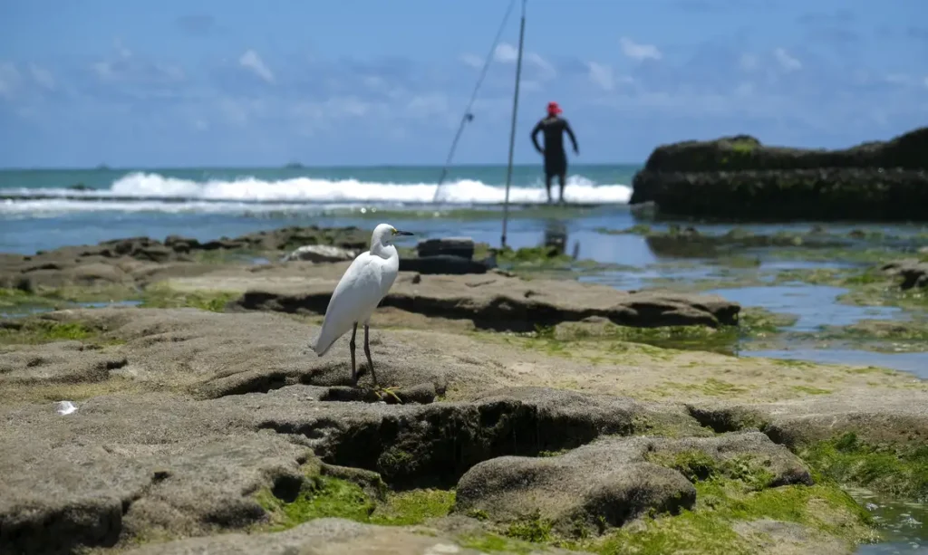 20250801 100315 1