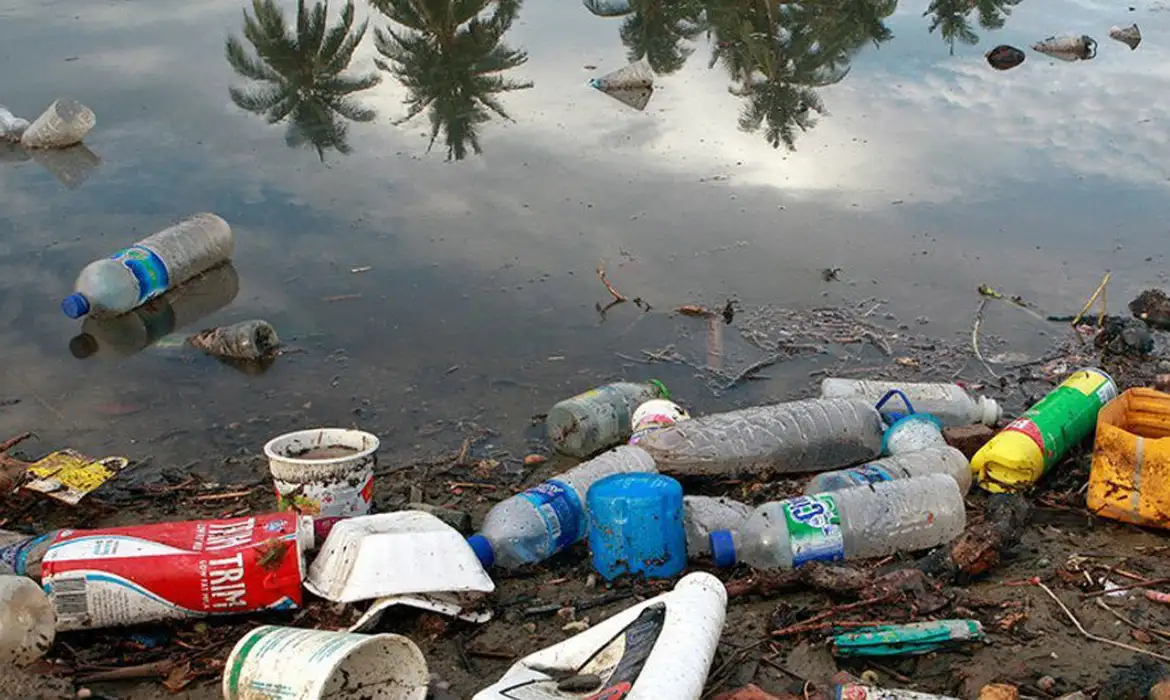 Relatório aponta que microplásticos já provocam danos severos ao meio ambiente e à saúde humana - Imagem do artigo original