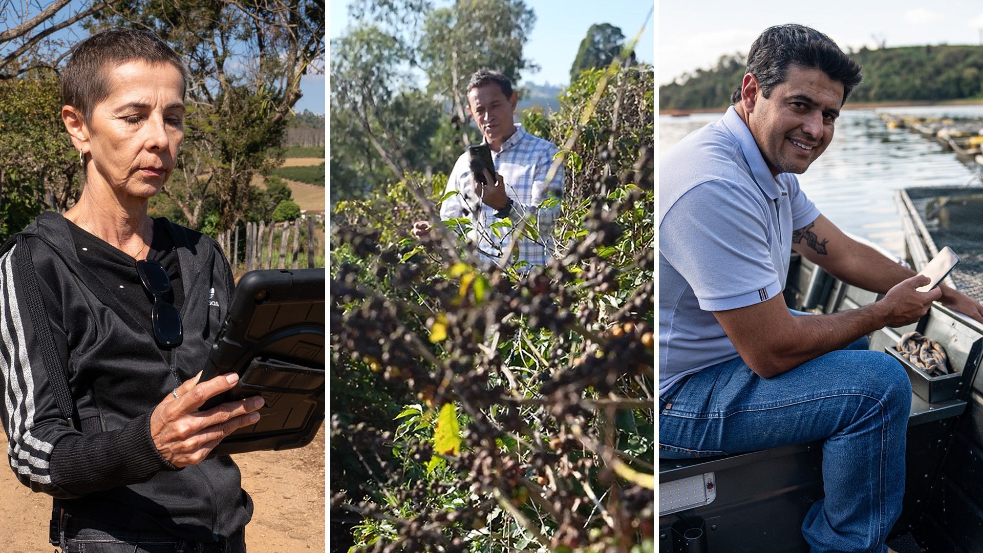 Internet leva segurança e produtividade às áreas rurais e transforma rotina de agricultores - Imagem do artigo original