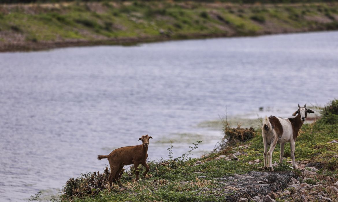 Águas do São Francisco alcançam o Rio Grande do Norte - Imagem do artigo original