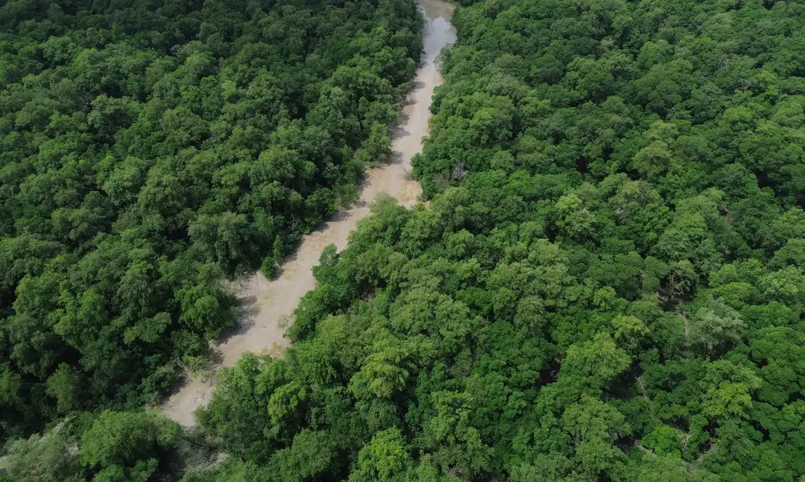 Tratado de Cooperação Amazônica reafirma compromissos para a COP30 - Imagem do artigo original