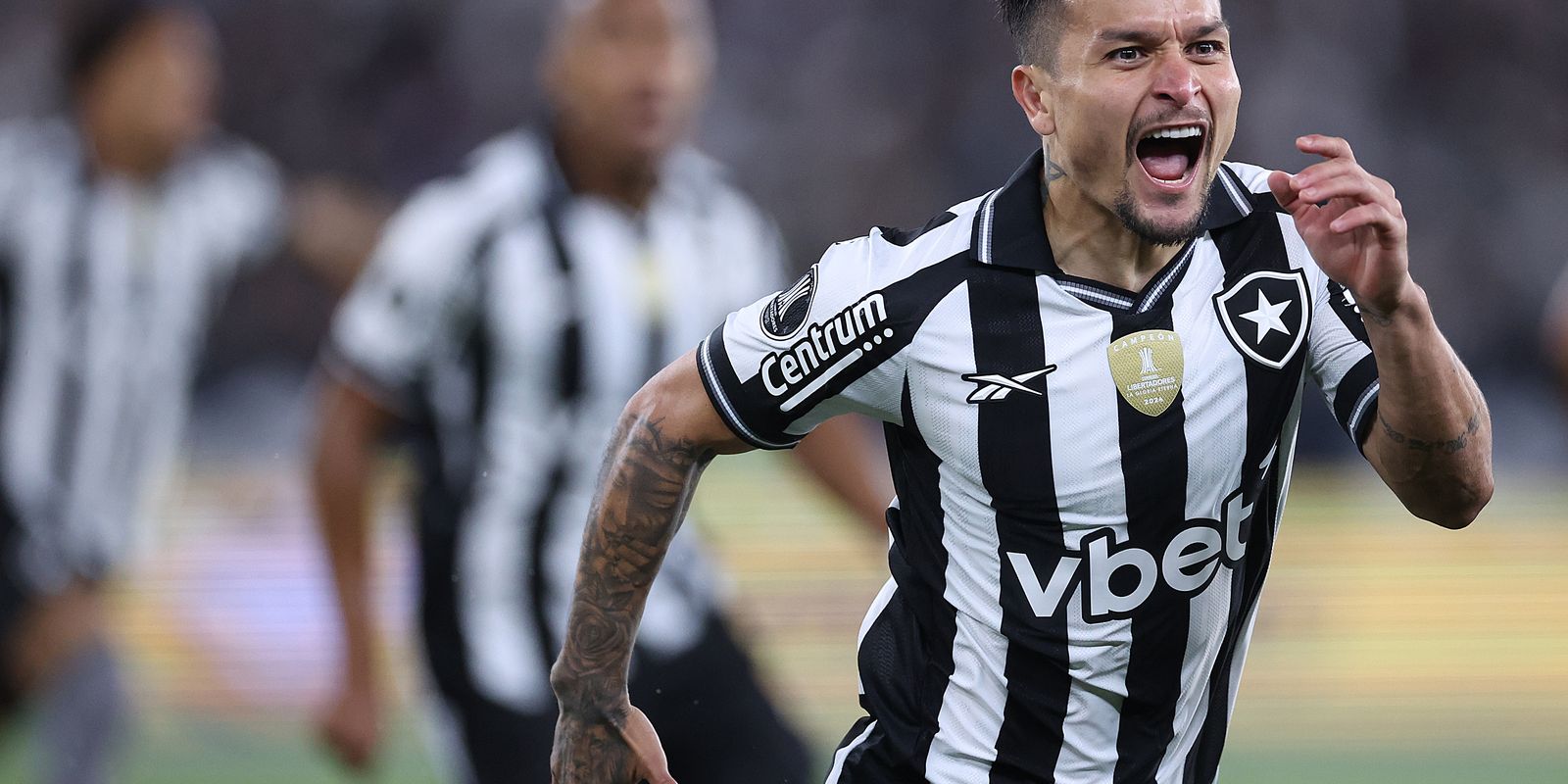 Botafogo larga na frente da LDU e Palmeiras aplica goleada fora de casa pela Libertadores - Imagem do artigo