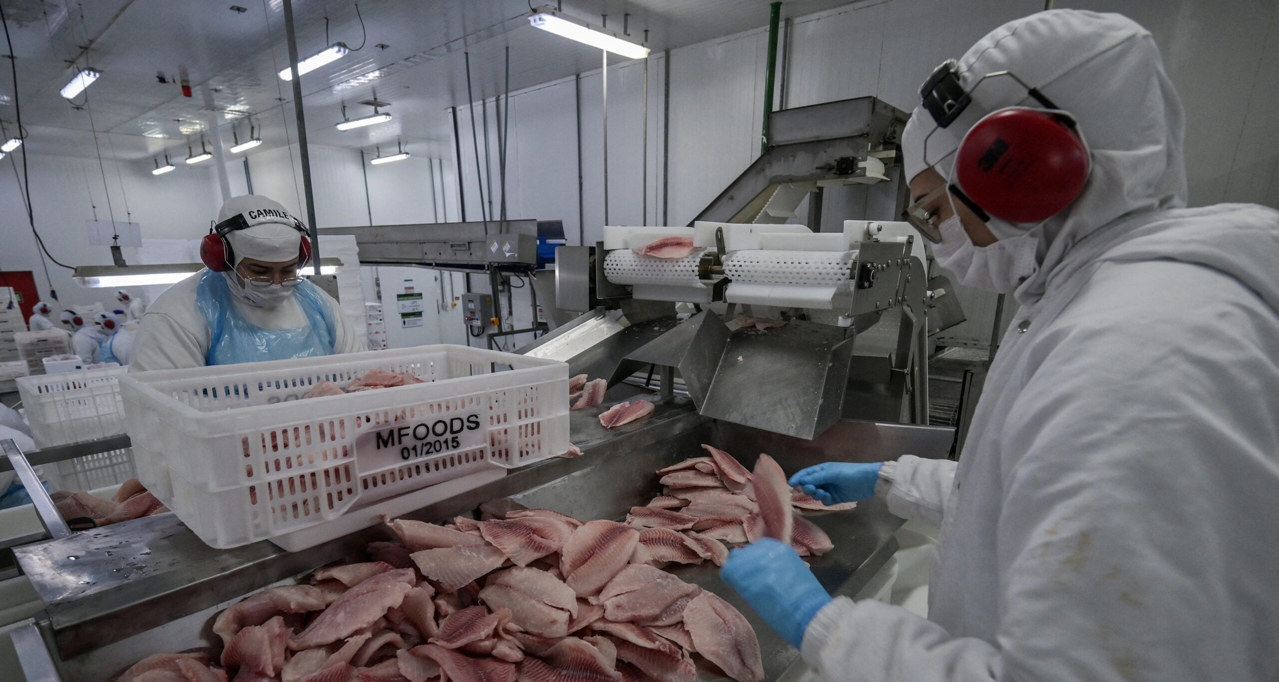 Governo autoriza compras públicas de pescado, mel e frutas de produtores atingidos por tarifa dos EUA - Imagem do artigo