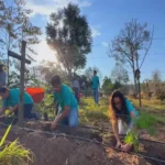 Sítio em Marília reúne piscicultura, agrofloresta e abelhas sem ferrão para produção sustentável