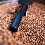 Tarifa de 50% derruba em 55% exportações brasileiras de café para os EUA em agosto
