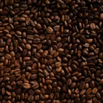 sepordentro 1756937702