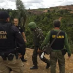 Crime organizado tem prejuízo de mais de R$ 2 bilhões na Amazônia Legal em 2024