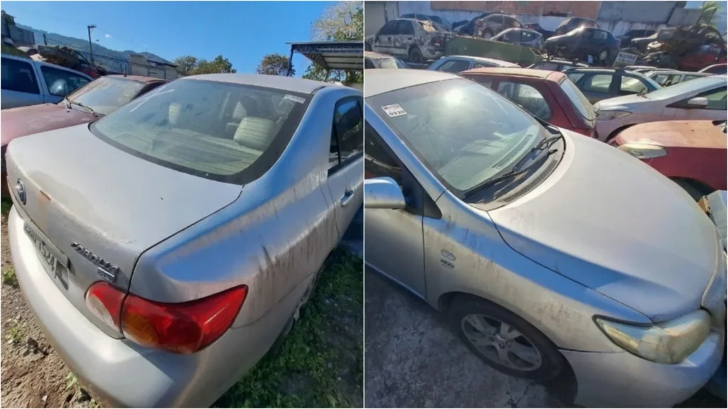 sepordentro 1757316622