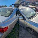 sepordentro 1757316622