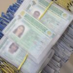 sepordentro 1758519060