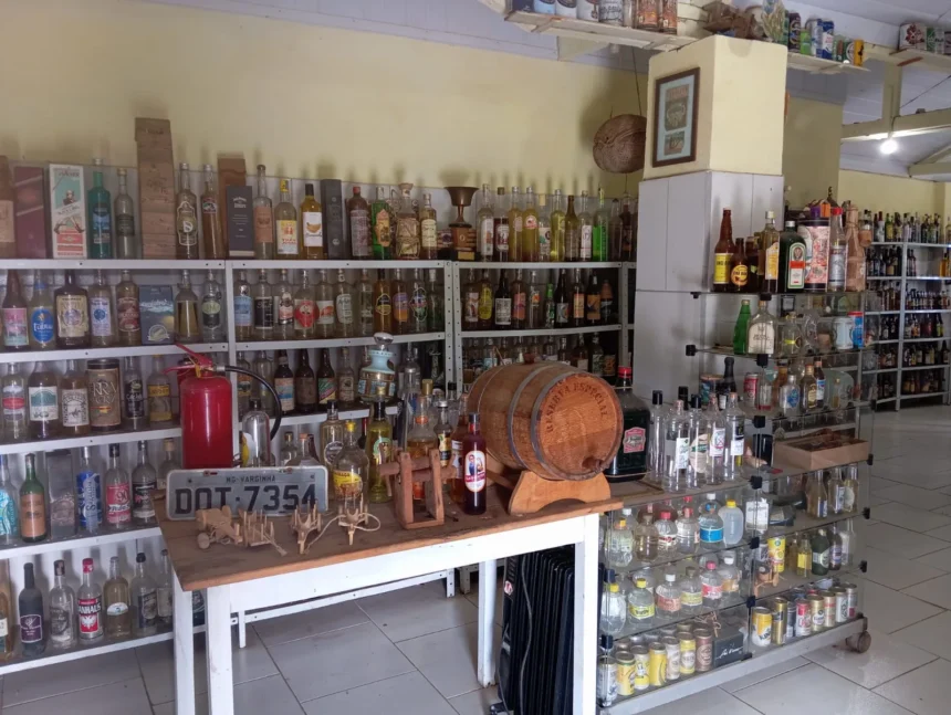 sepordentro 1758997162
