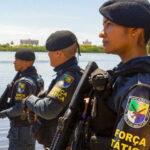 sepordentro 1762303733