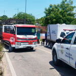 sepordentro 1762580036