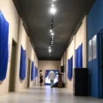sepordentro 1762778868