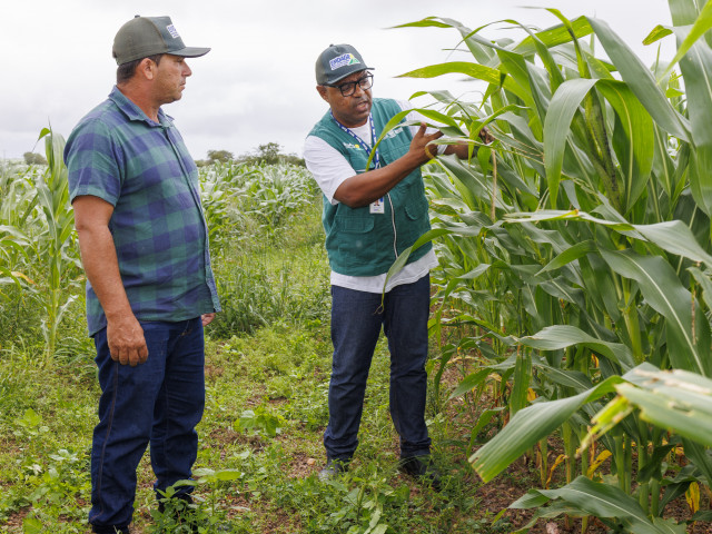 Integração da Seagri com empresas estaduais reforça apoio ao pequeno produtor em Sergipe