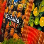 Colheita Day reúne produtores em Indiaroba e reforça agricultura familiar no Sul de Sergipe