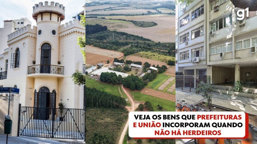 sepordentro 1763393601