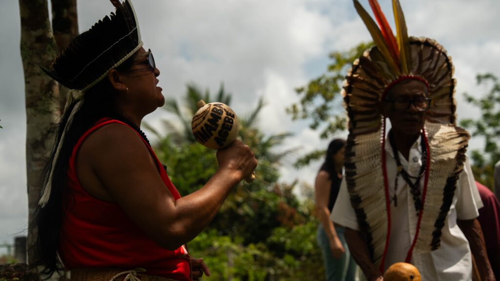 Pronaf impulsiona agrofloresta de indígenas Tupinambá e ajuda a recuperar Mata Atlântica na Bahia