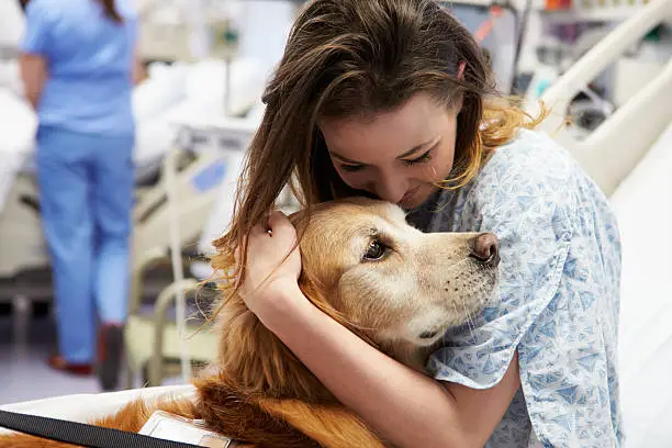 Interação com animais reforça tratamentos e melhora a saúde mental, apontam especialistas