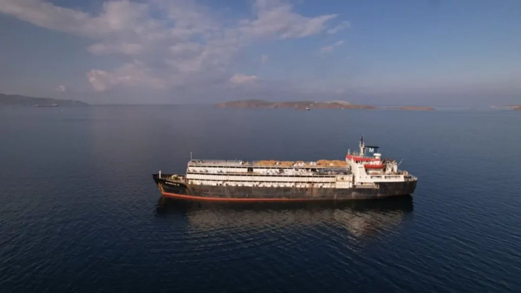 Navio com quase 3 mil vacas à deriva pressiona países europeus por socorro