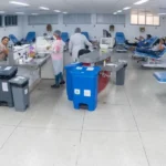 sepordentro 1764026263