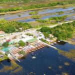sepordentro 1764177547