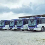 sepordentro 1764808449