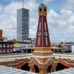 sepordentro 1764977636