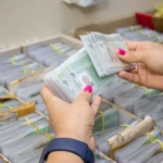 sepordentro 1765260269