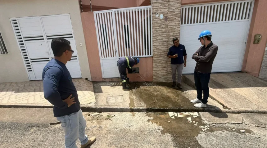 sepordentro 1765464628