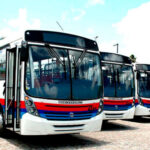 sepordentro 1766006394