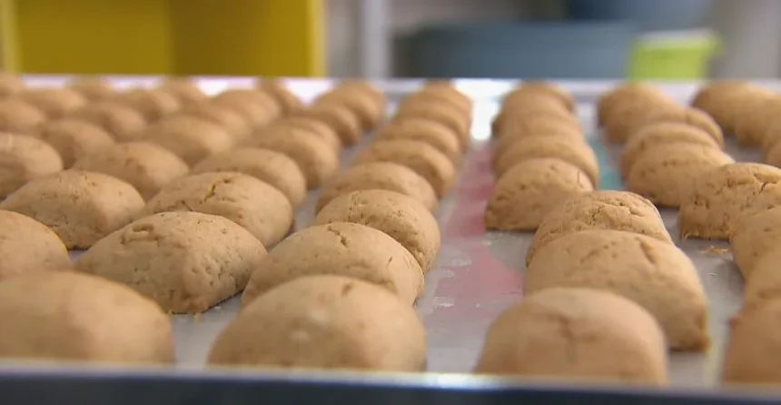 sepordentro 1766317779