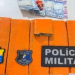 sepordentro 1766413642