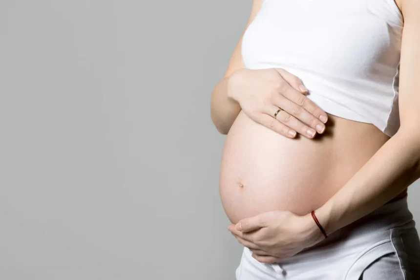 Assembleia aprova programa de pré-natal e pós-parto para gestantes com TEA em Sergipe