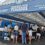 sepordentro 1766774063