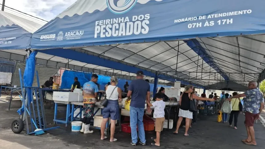 sepordentro 1766774063