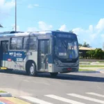 sepordentro 1767105254