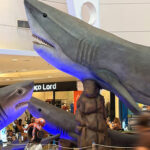 Fundacao Mamiferos Aquaticos promove visitas a exposicao Sharks Cia foto assessoria de imprensa