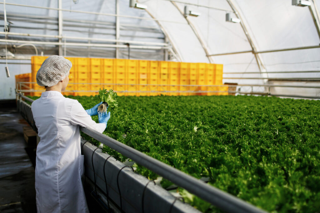 biotechnology woman engineer examining plants disease scaled 1