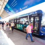 sepordentro 1767292490