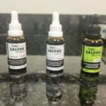 sepordentro 1767414861