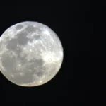 sepordentro 1767501251