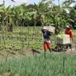 Sergipe garante R$ 2,76 bilhões do FNE para impulsionar desenvolvimento em 2026