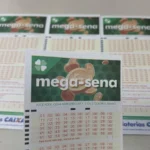 sepordentro 1767730883
