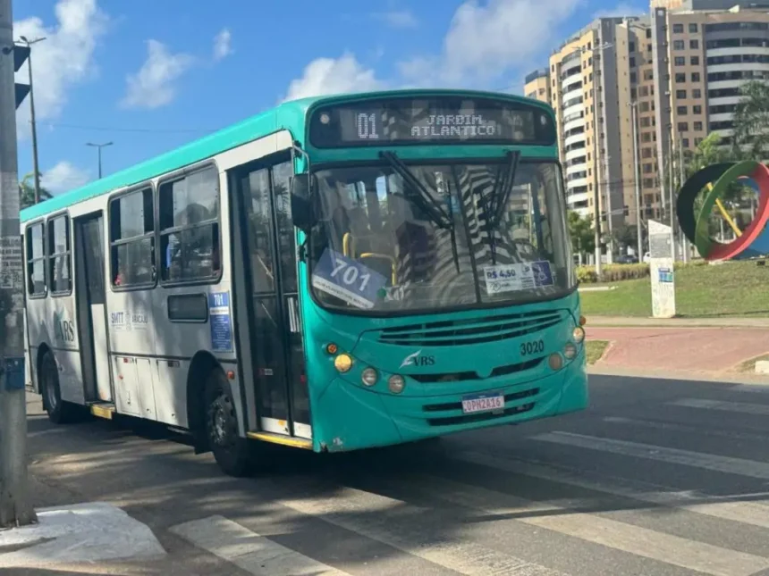 sepordentro 1768156497