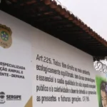 sepordentro 1768250058