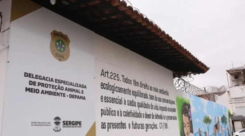 Polícia Civil identifica suspeito de arrastar cadela pelo bairro Aeroporto, em Aracaju