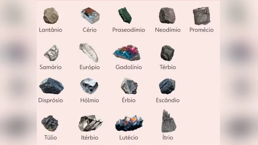 sepordentro 1768609205
