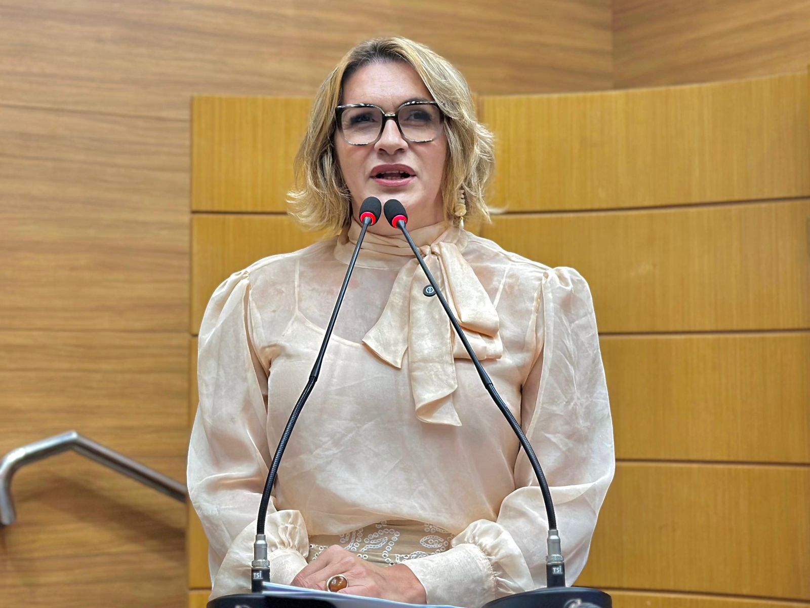 DEPUTADA LINDA BRASIL DIVULGACAO ASCOM 1